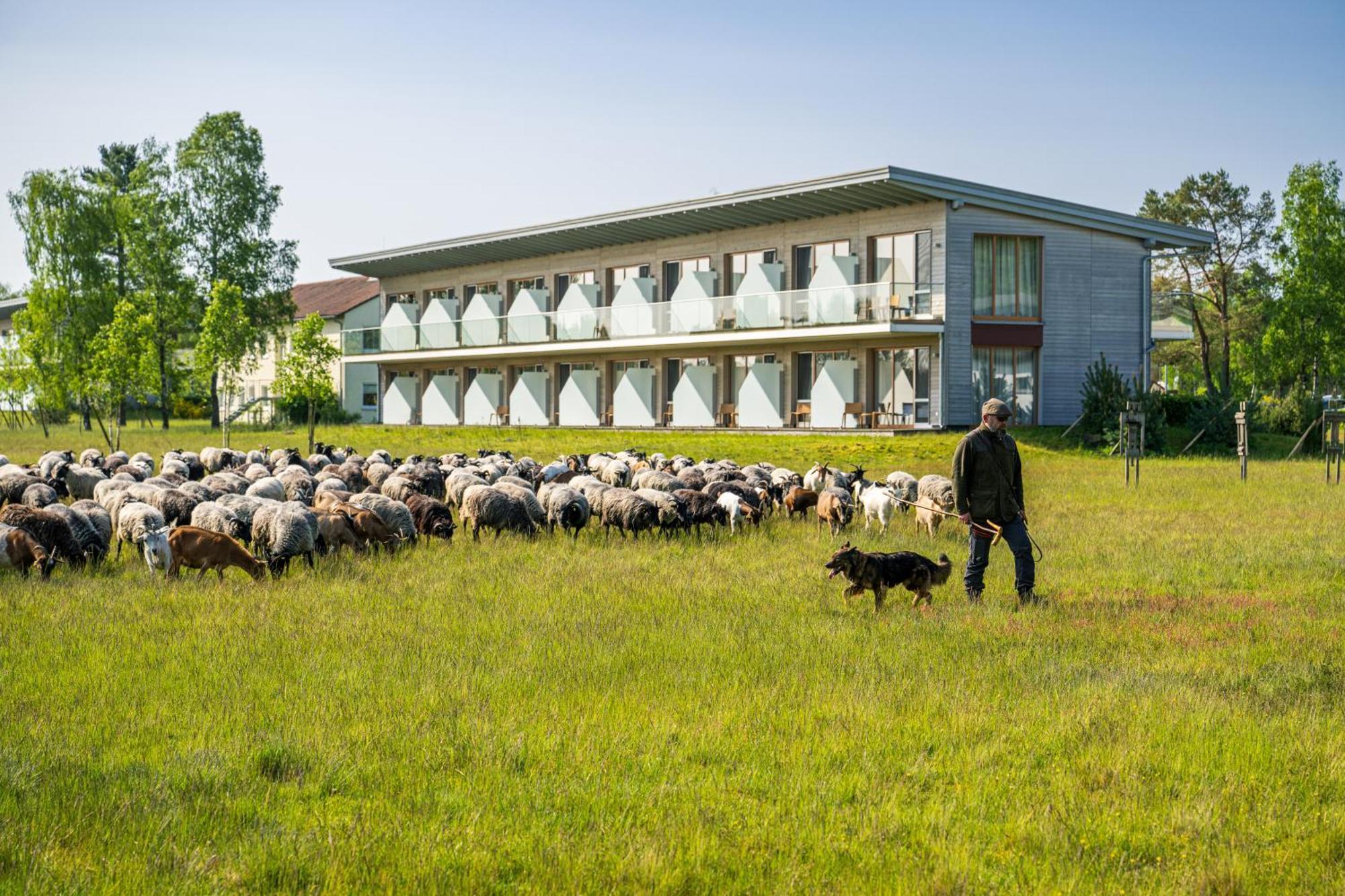 Hotelcamp Reinsehlen Schneverdingen Bagian luar foto