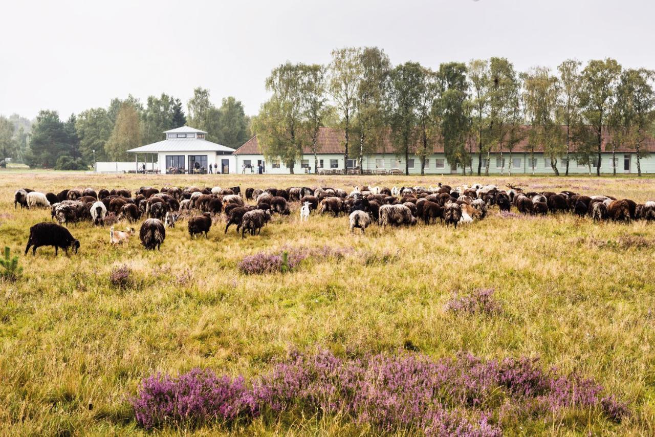 Hotelcamp Reinsehlen Schneverdingen Bagian luar foto